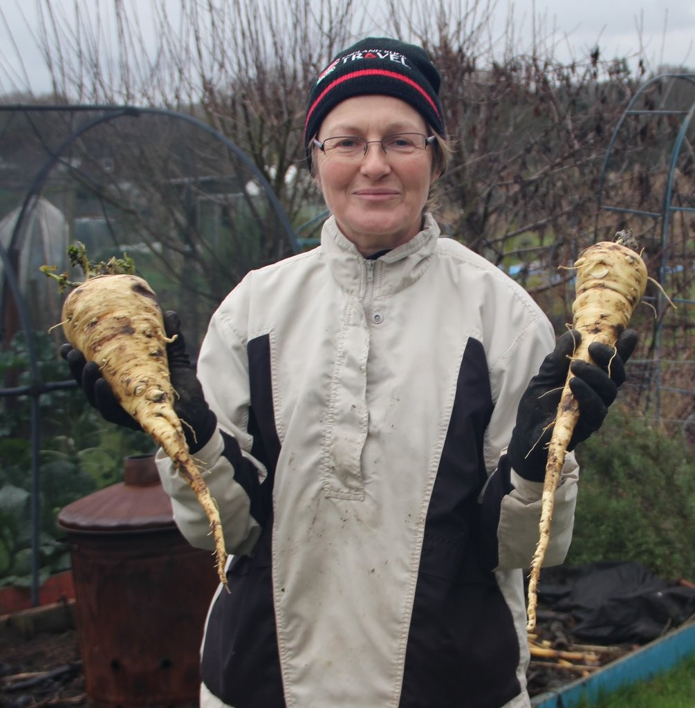 Christmas Parsnips 2016