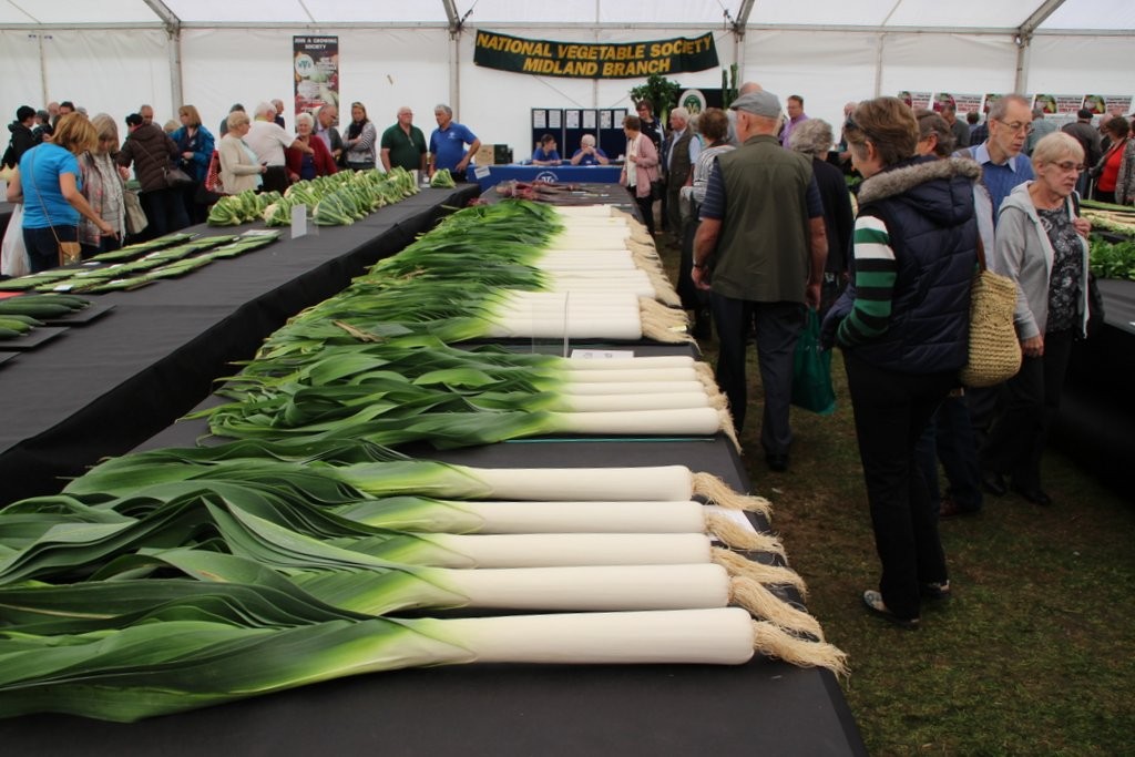 Perfect leeks