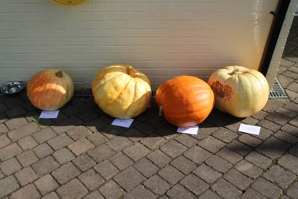 Cookham's Pumpkins