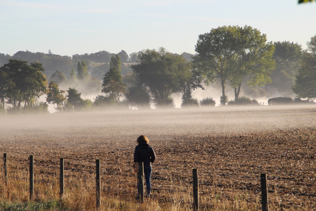 Misty morning